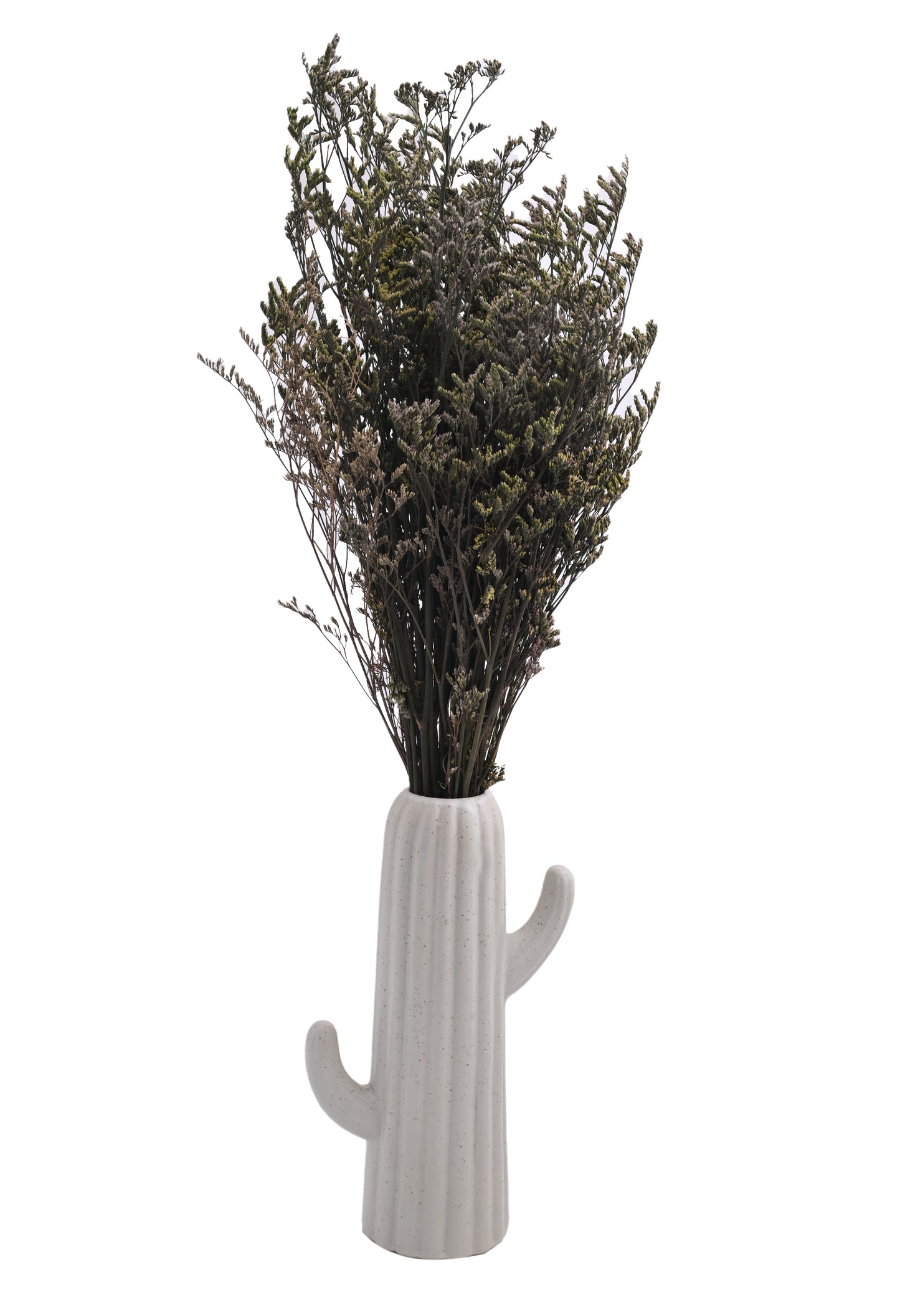 Limonium (FS-12)