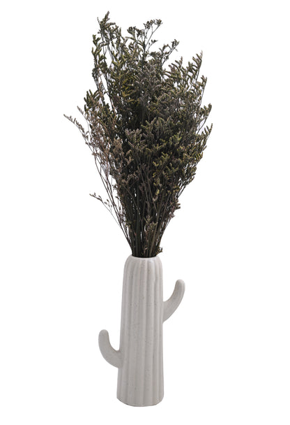 Limonium (FS-12)