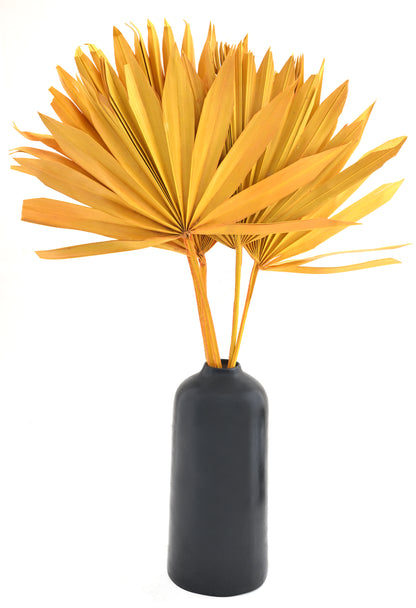 Taal Palm Dry (FD-08)