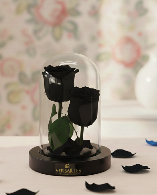 Black roses in a glass dome