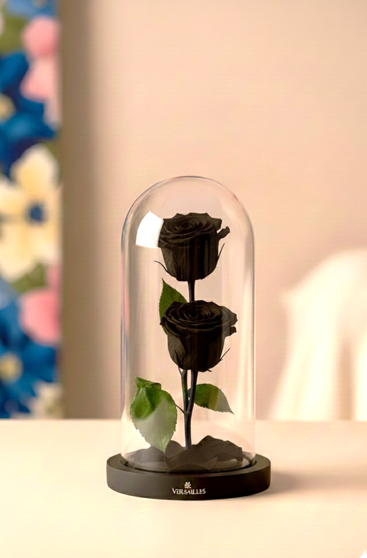 Two black roses in a glass dome