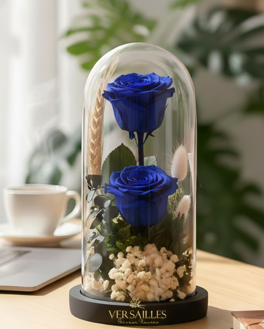 Double Blue Rose with WHite Gypso