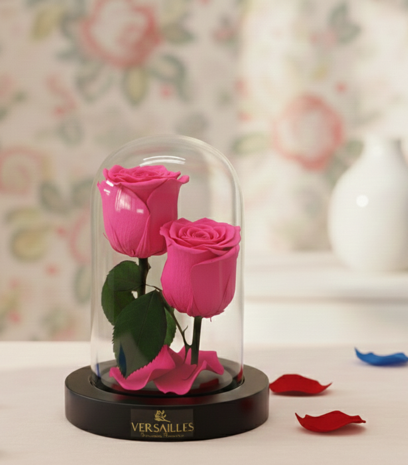 Two pink roses in a glass dome