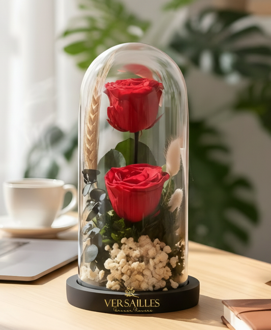 Double Rose with White Gypso