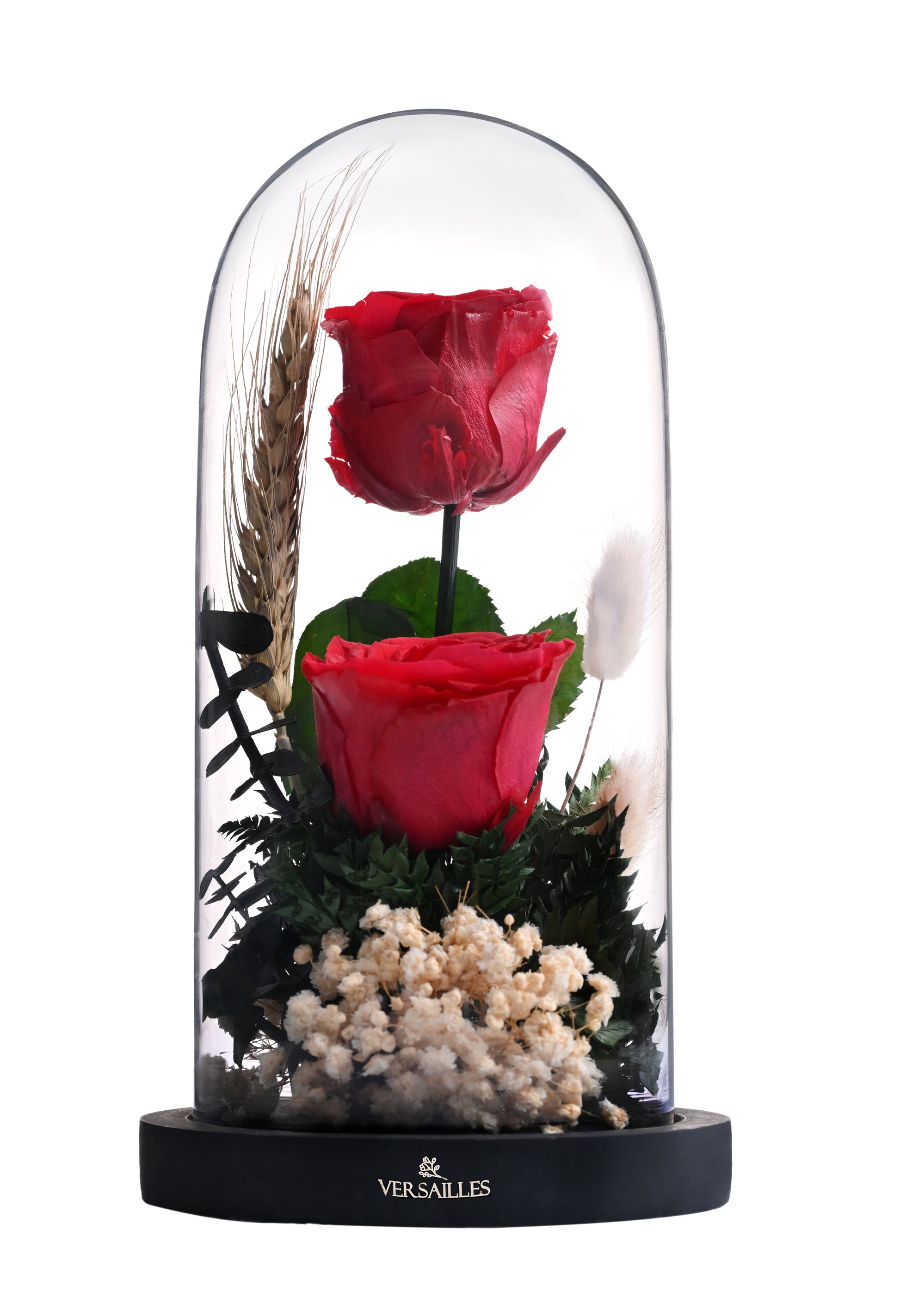 Double Rose with WHite Gypso Baby Dollar