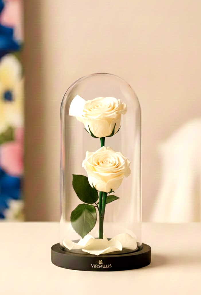 Double white roses