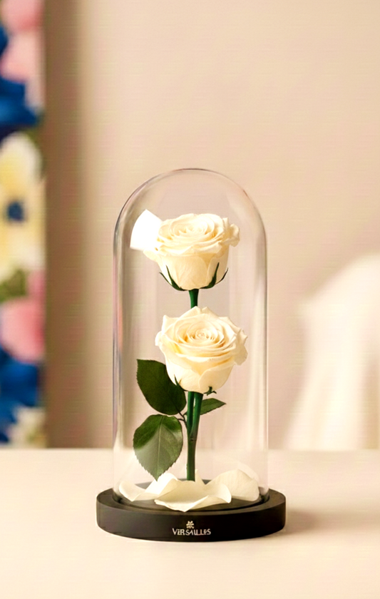 Double white roses