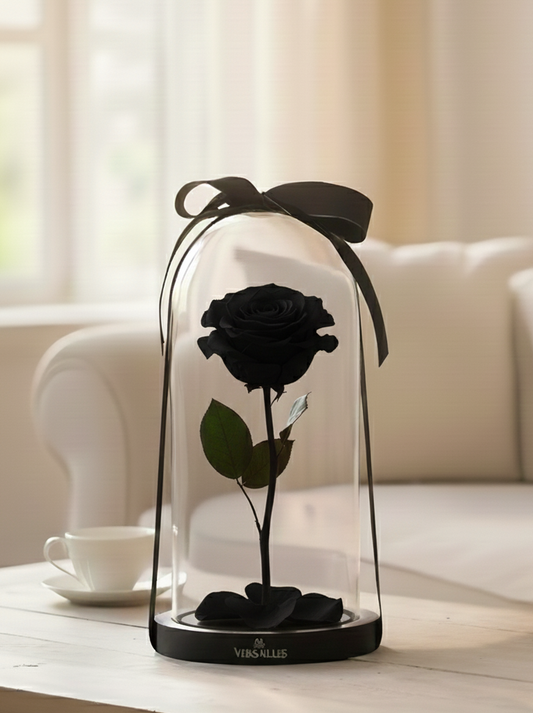 Forever Black Rose