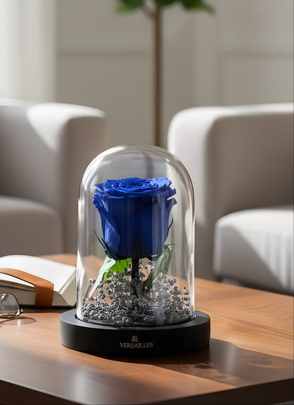 Blue Rose with Silver Gypso in Black Base