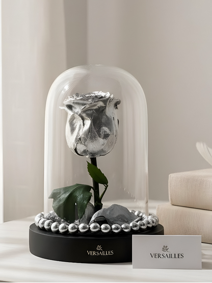 Forever Silver Rose with Silver Beads on Black Base
