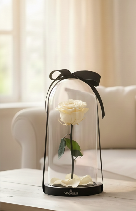 Forever White Rose
