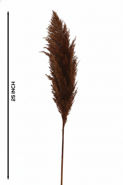 Natural Pampas (FD-05)