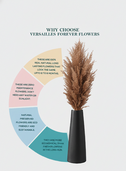 Natural Pampas (FD-05)