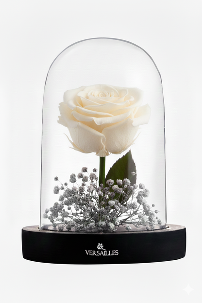 SULTRY rouge (DS-04 White)