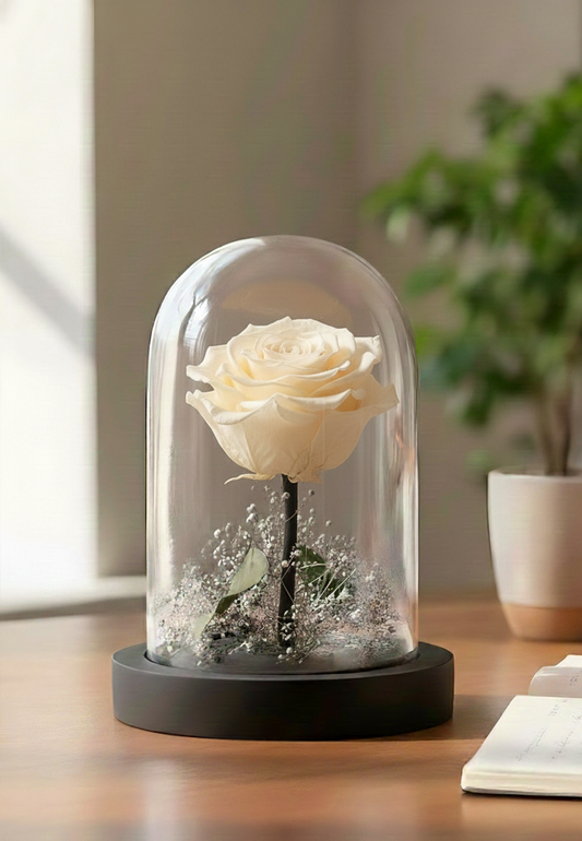 SULTRY rouge (DS-04 White)