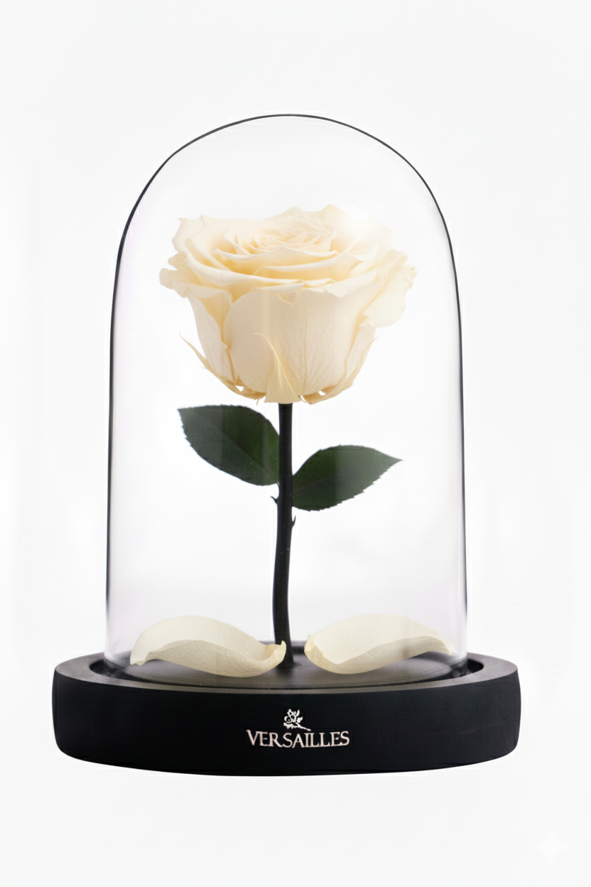 Forever Love (DS-01 White)