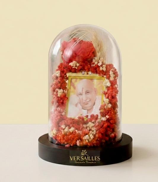 Angelic Pressence of The Guruji (Ds_Dv-11)