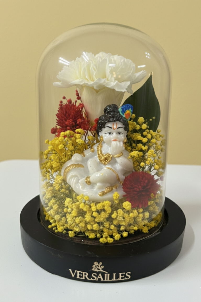 Divine Gopala (DS_Dv-10)