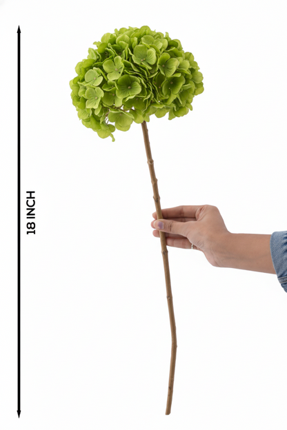 Hydrangea (FS-07)
