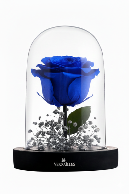 Brilliant Glow (DS-04 Blue)