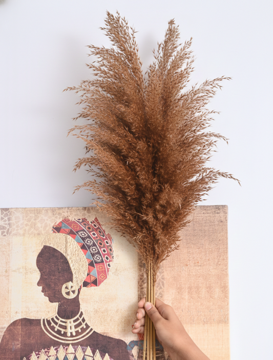 Natural Pampas (FD-05)
