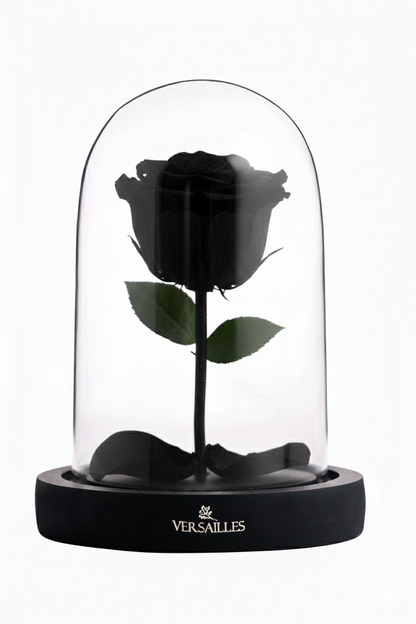 Forever Love (DS-01 Black)