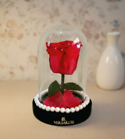 Forever Love (DS-09 Beads)