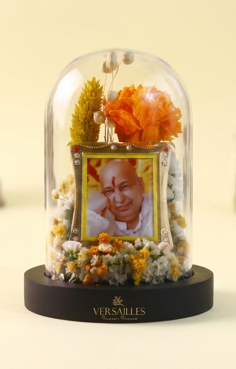 Guruji's Pure Grace (DS_Dv-12)