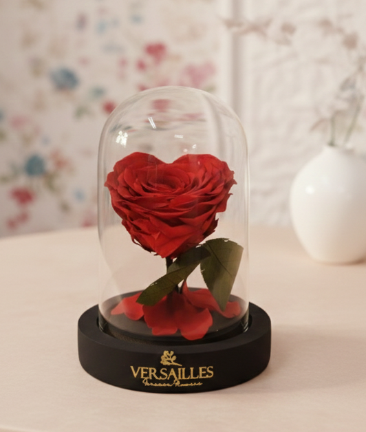 Heart Shape Rose