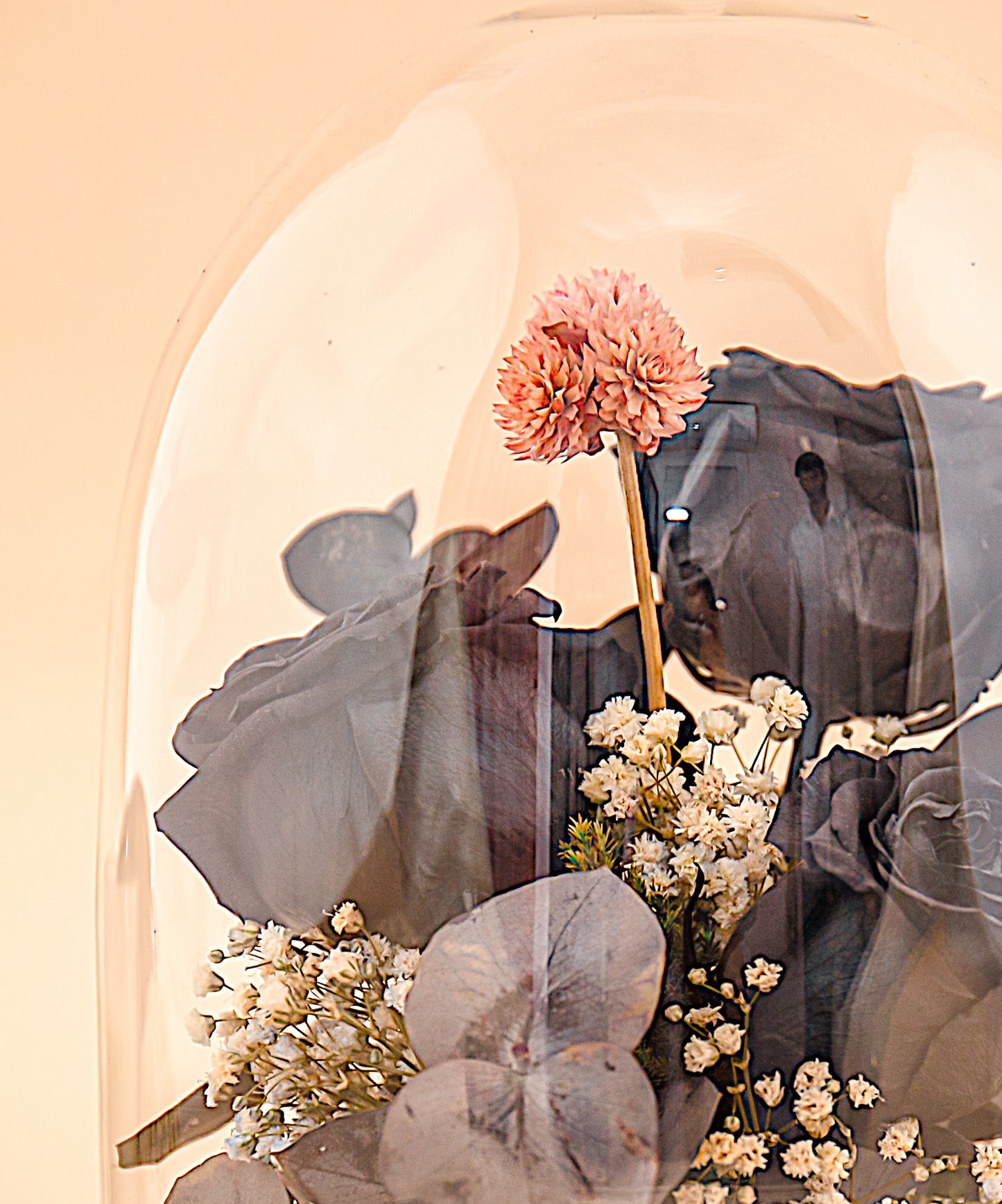 Black Beauty (DL-04)