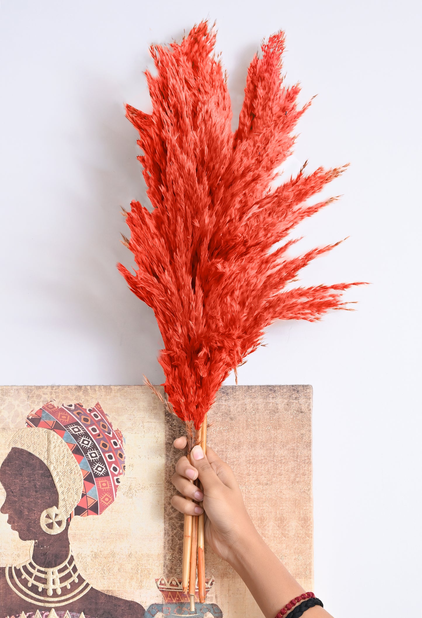Orange Pampas (FD-05)