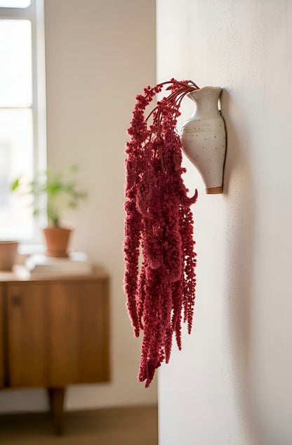 Amaranthus (FS-10)