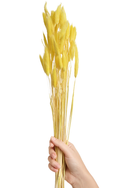 Bunny Tail Dry Yellow (FD-01)