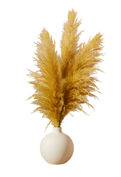 Yellow Pampas (FD-05)