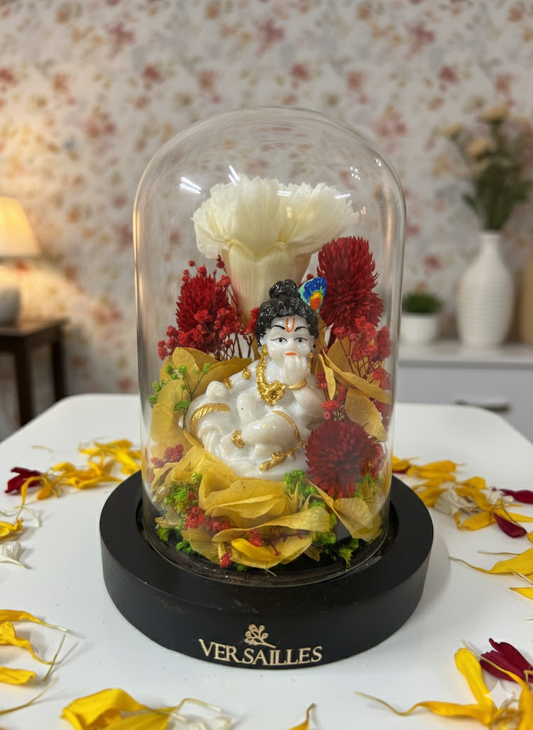 Laddu Gopal and Gypso carnaion