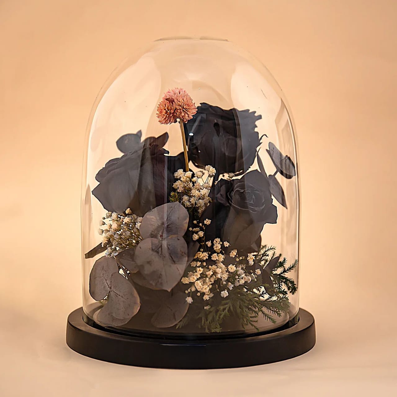 Black Beauty (DL-04)