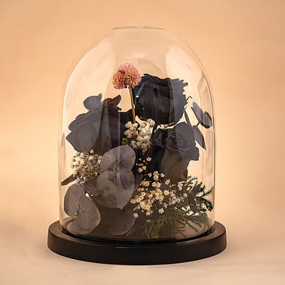 Black Beauty (DL-04)