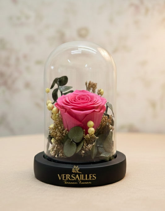 Pink Rose with Green Baby Dollar