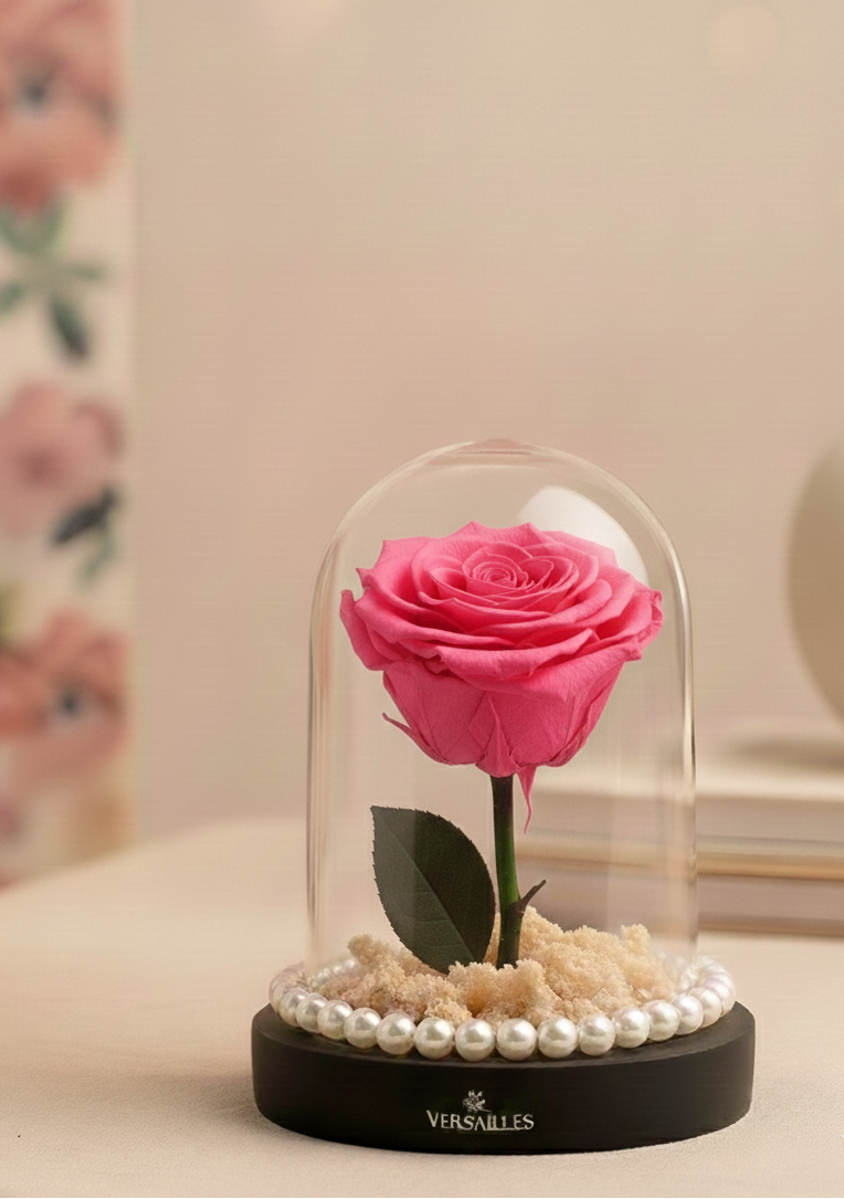 Pink Rose with White Gypso