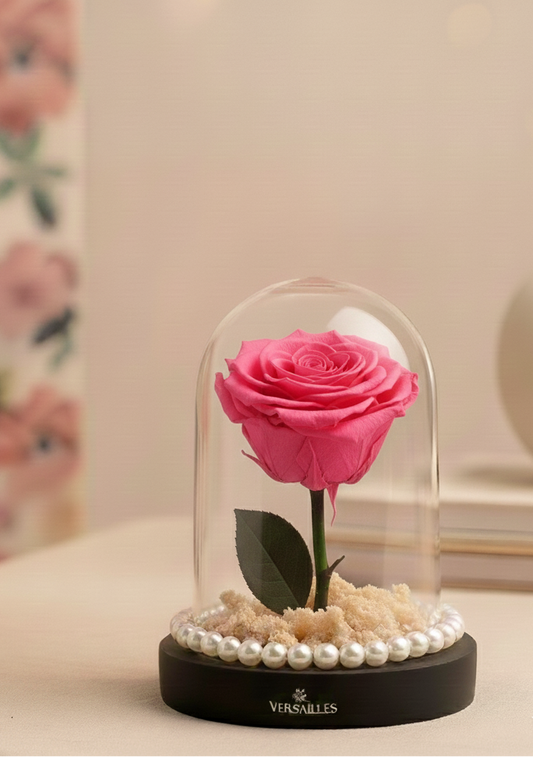 Pink Rose with White Gypso