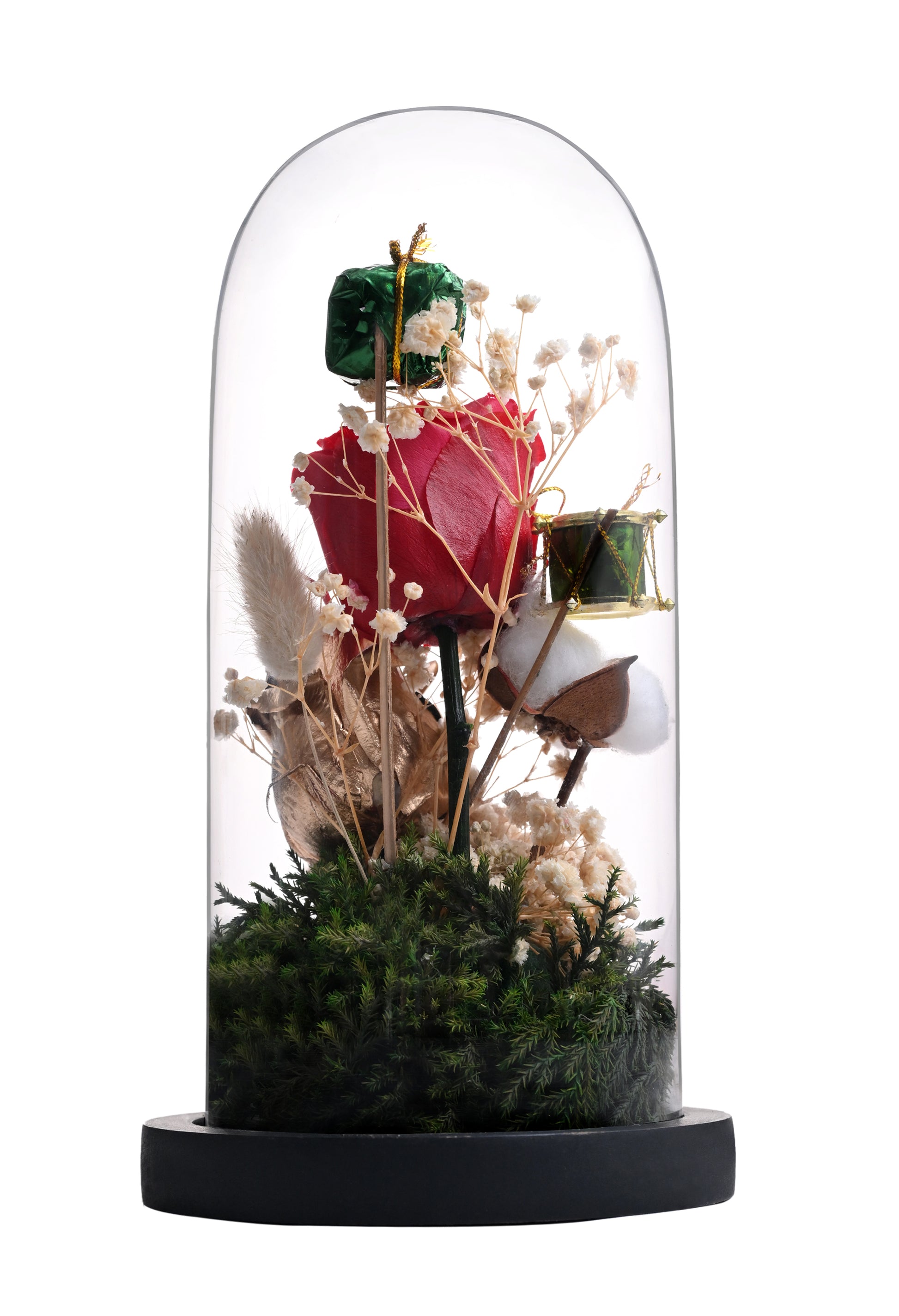 Decorative arrangement under a glass dome with a white background