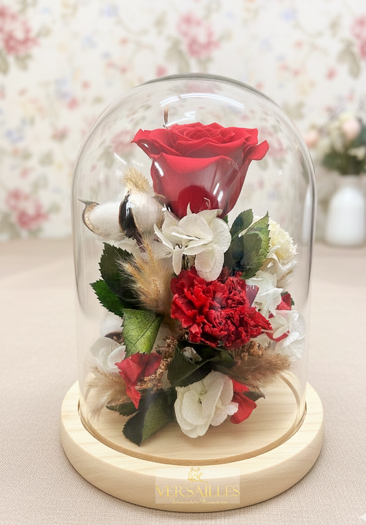 Red Rose Red Carnation