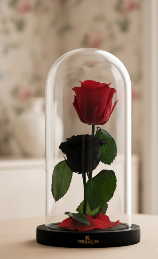 Red Rose and Black Rose