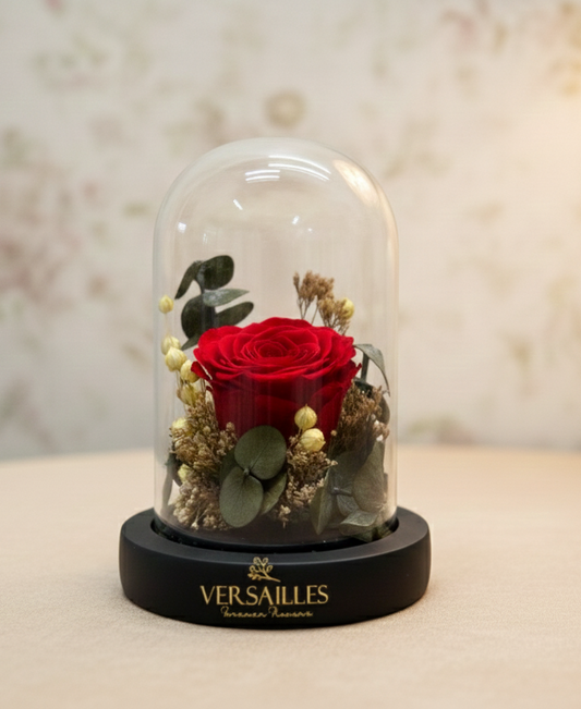 Red rose with Tishi Grass