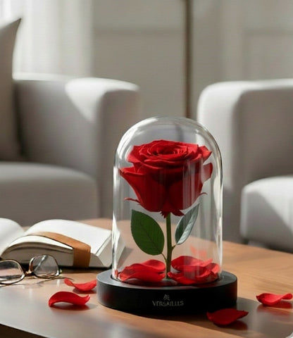 Red Single Rose Forever Rose