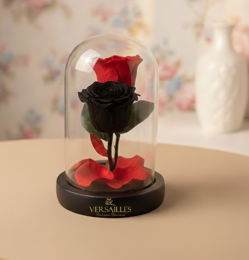 Two red and black roses 