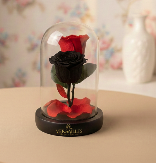 Two red and black roses 