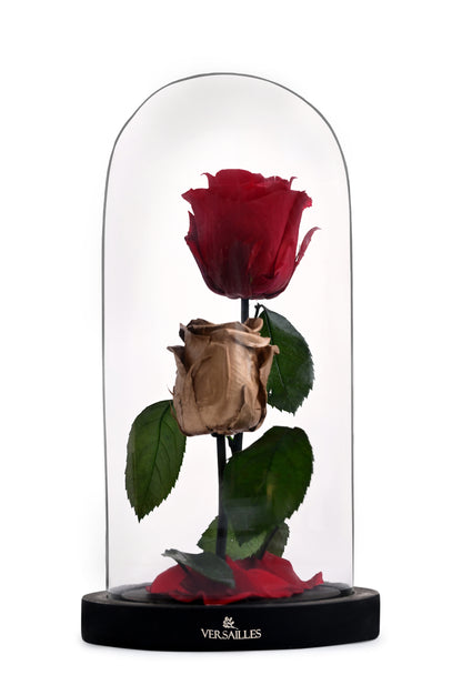 Red and Golden Rose Combos