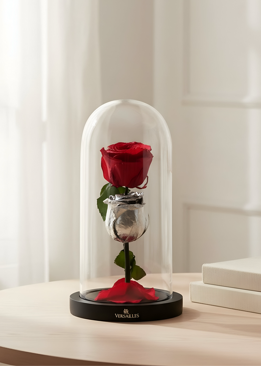 Silver Red Rose Combo