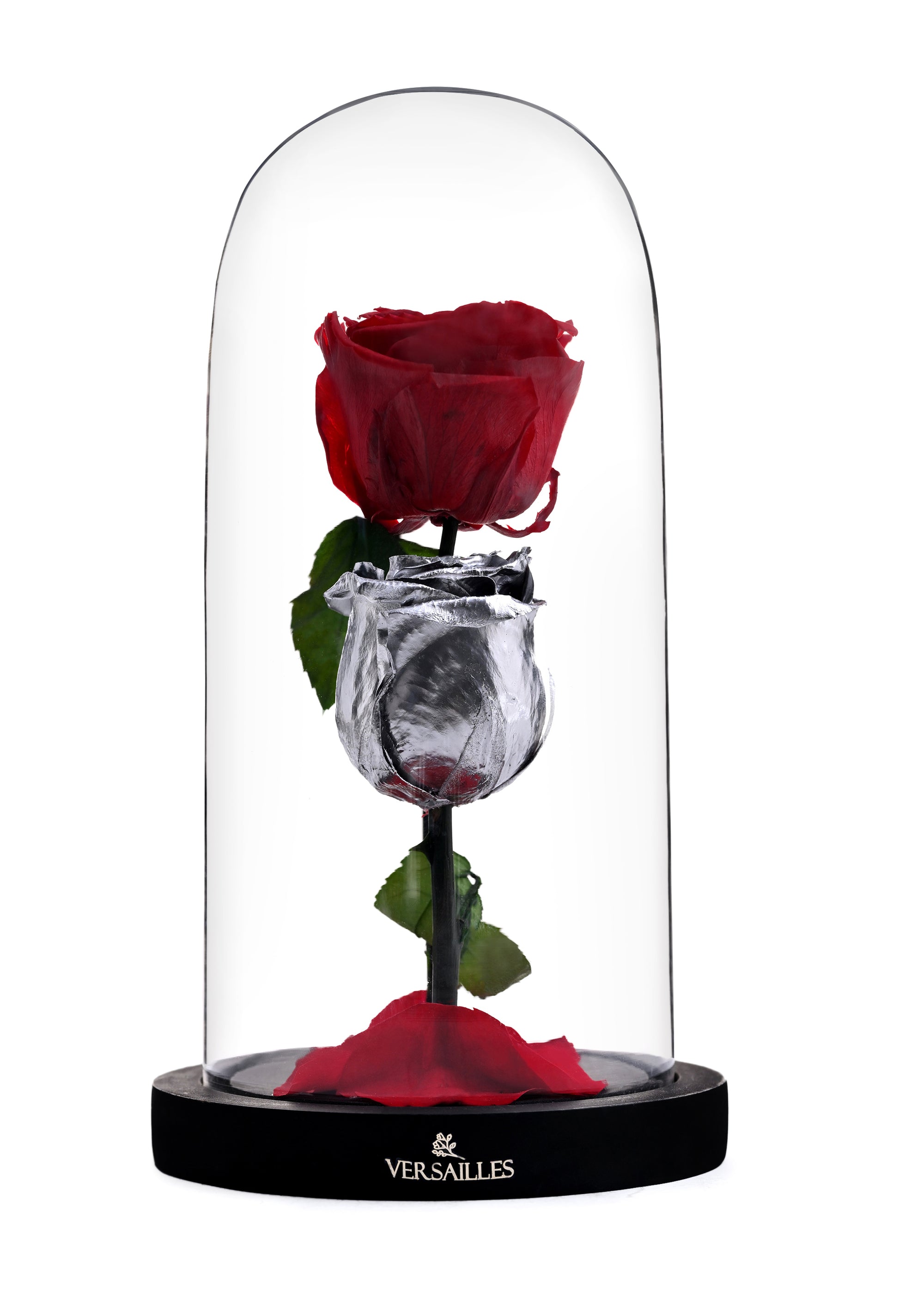 Red rose in a glass dome withVersailles logo on a white background